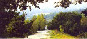 Boxhill