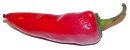 Willie Halliday's chilli