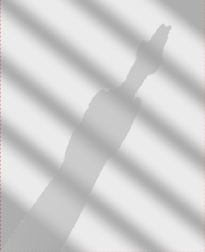 Willie Halliday shadow