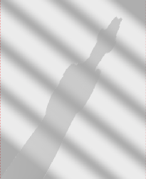 Willie Halliday shadow